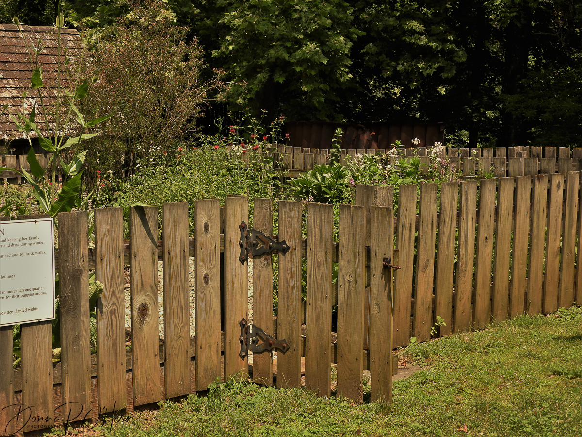 Donna Ohern